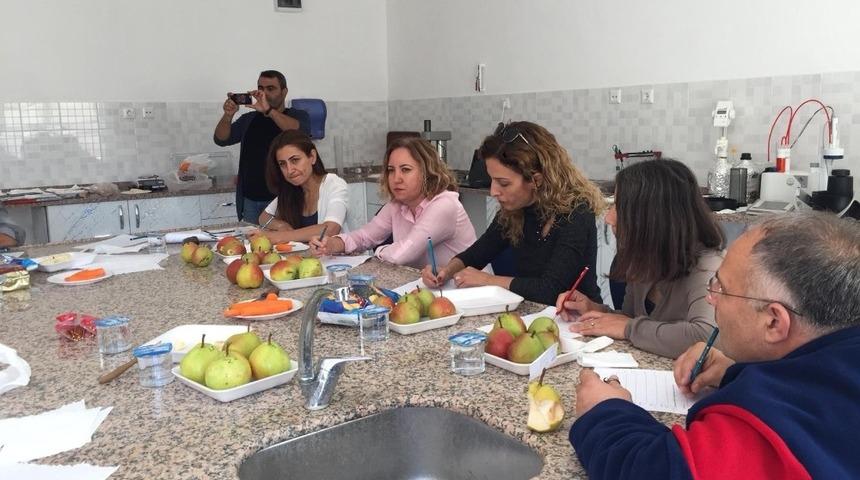 MAREM’de duyusal analiz eğitimi yapıldı