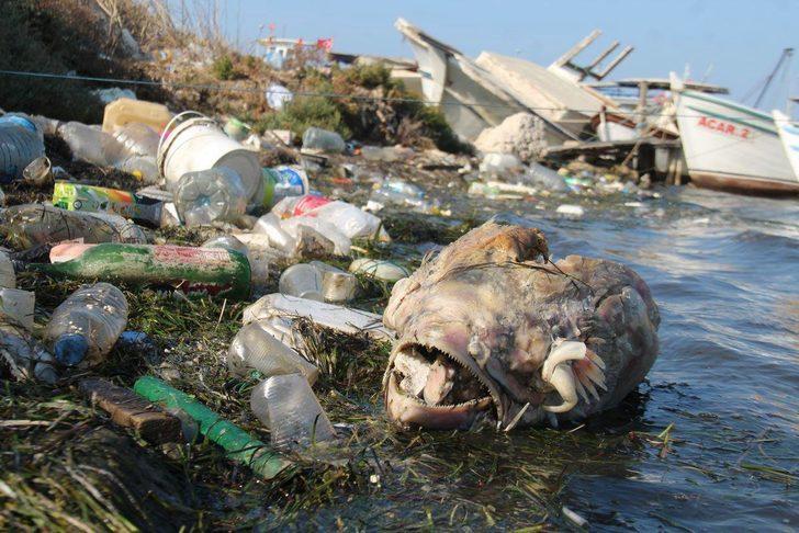 Didim'de "Böyle kirlilik olur mu?" dedirten manzara G1