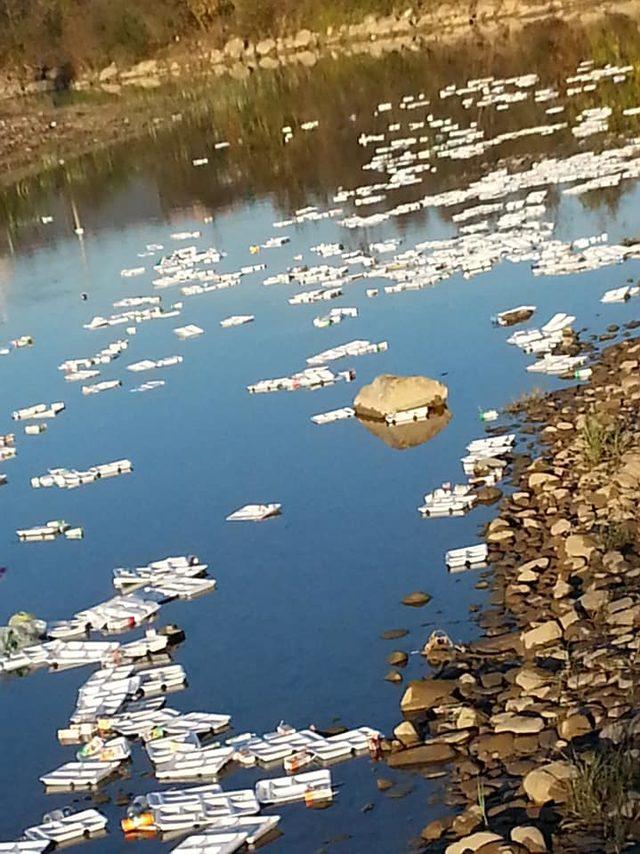 Bartın Irmağı'na atılan plastik tabaklar için araştırma