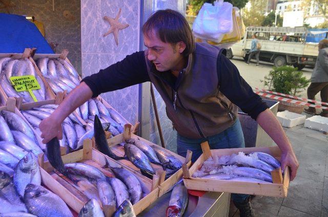 Palamut tahtını hamsiye devrediyor