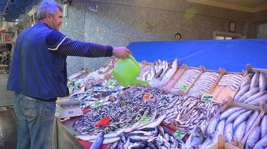 Palamut tahtını hamsiye devrediyor