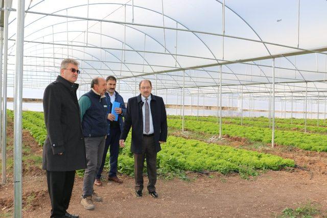 Erzincan’da sera yatırımları devam ediyor