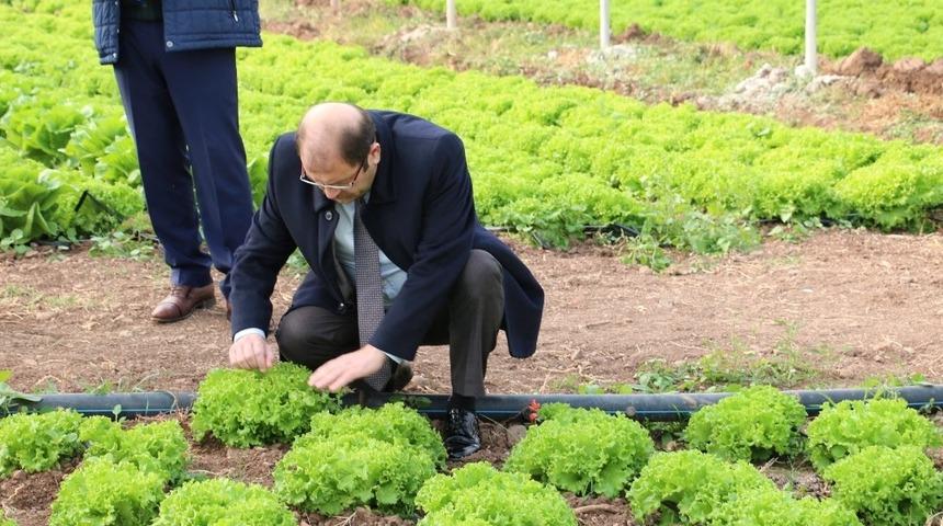 Erzincan&rsquo;da sera yatırımları devam ediyor
