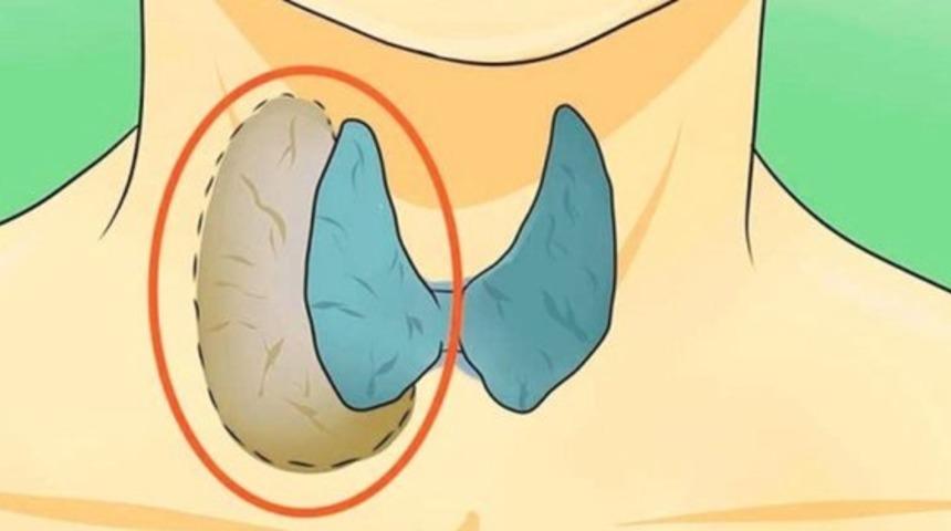 Tiroid Probleminizi Doğal Yollarla  Çözebilirsiniz