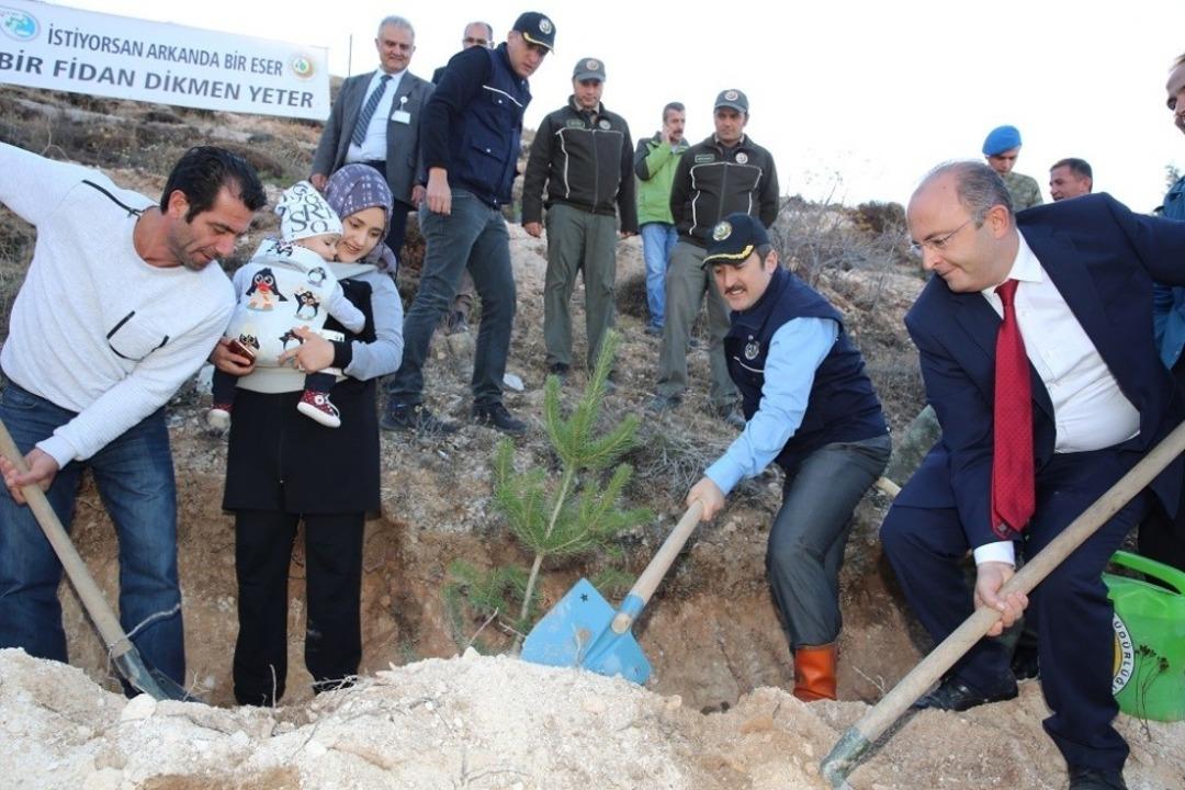&ldquo;İki Fidanı Birlikte B&uuml;y&uuml;telim&rdquo; projesi kapsamında yıl i&ccedil;inde doğan her bebek i&ccedil;in bir didan dikildi