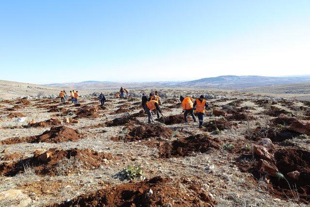 Gaziantep 3 milyon metrekarelik alana orman kurdu