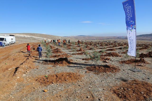 Gaziantep 3 milyon metrekarelik alana orman kurdu