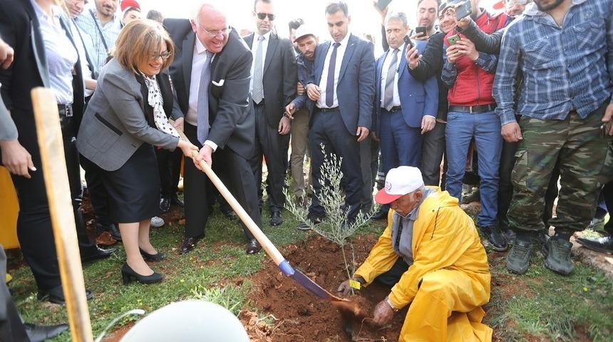 Gaziantep 3 milyon metrekarelik alana orman kurdu