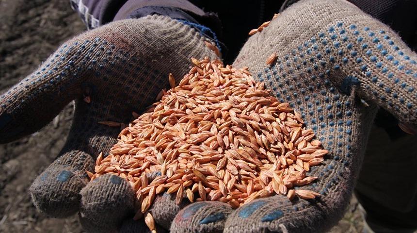 Ziraat Mühendisleri Birliği eski Başkanı: Çiftçi buğday ekmiyor, hepimiz aç kalacağız