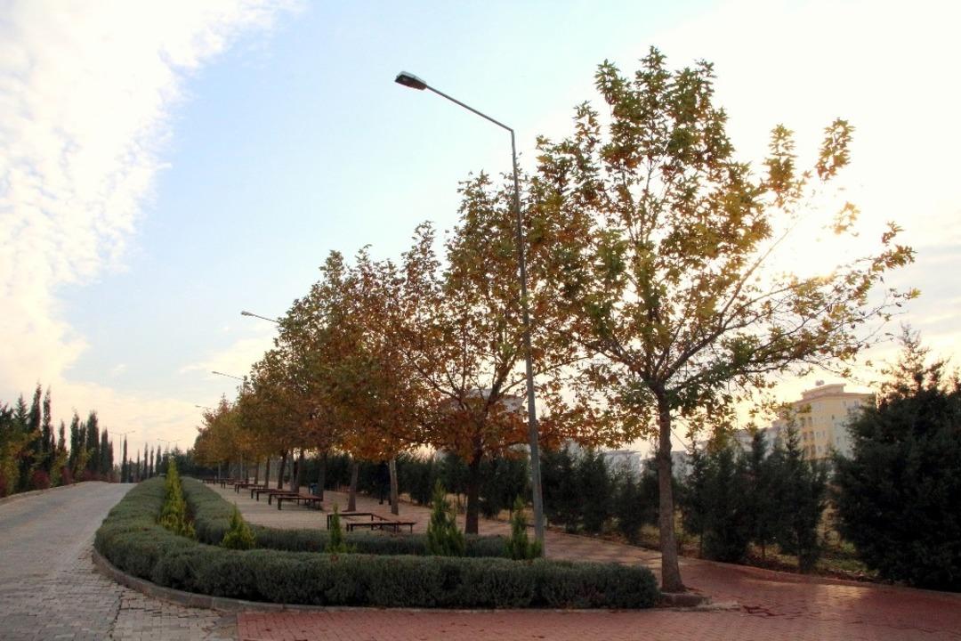 &Uuml;niversite kamp&uuml;s&uuml;nde sonbahar