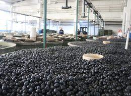 Marmarabirlik'ten 110 milyon TL’lik ödeme