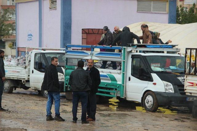 Şanlıurfa’da kömür dağıtımına başlandı