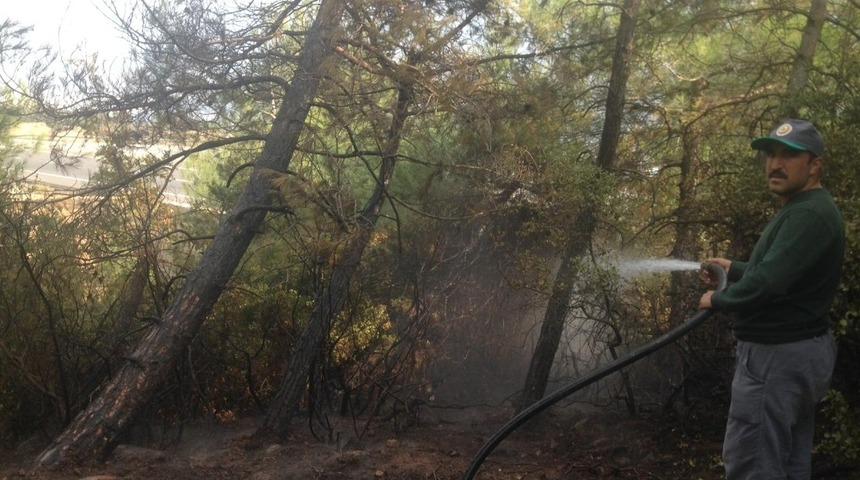 Nurdağı&rsquo;nda orman yangını