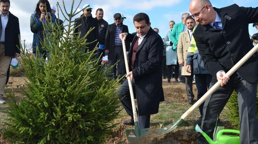 Boz&uuml;y&uuml;k&rsquo;te 12 bin fidan toprakla buluştu