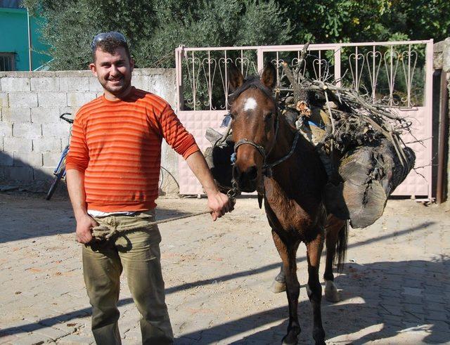 Doğalgaz ve kömür zammı nedeniyle vatandaş odunla ısınmaya başladı