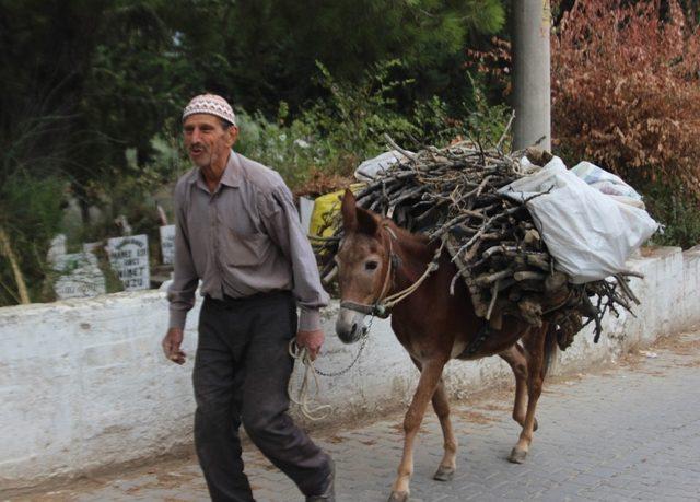 Doğalgaz ve kömür zammı nedeniyle vatandaş odunla ısınmaya başladı