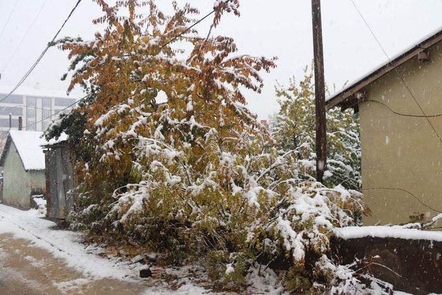 Bitlis’te kar yağışı