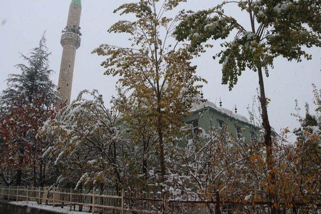 Bitlis’te kar yağışı