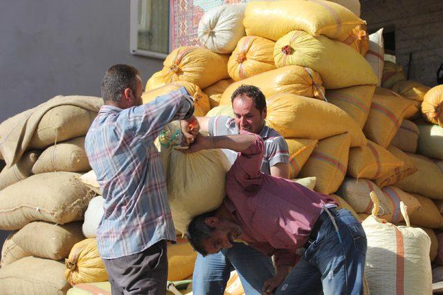 Fındığını satmayan üreticiler, fiyat artışını bekliyor