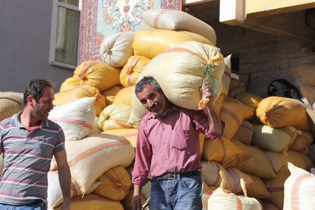 Fındığını satmayan üreticiler, fiyat artışını bekliyor