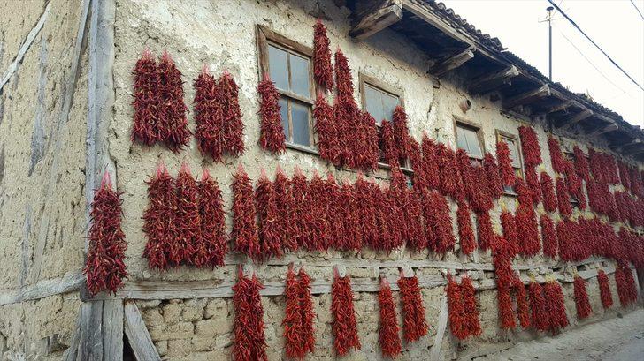 Balkonlarda çatılarda kurutuyorlar 60 kente satıyorlar G1