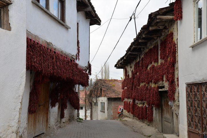 Balkonlarda çatılarda kurutuyorlar 60 kente satıyorlar G2