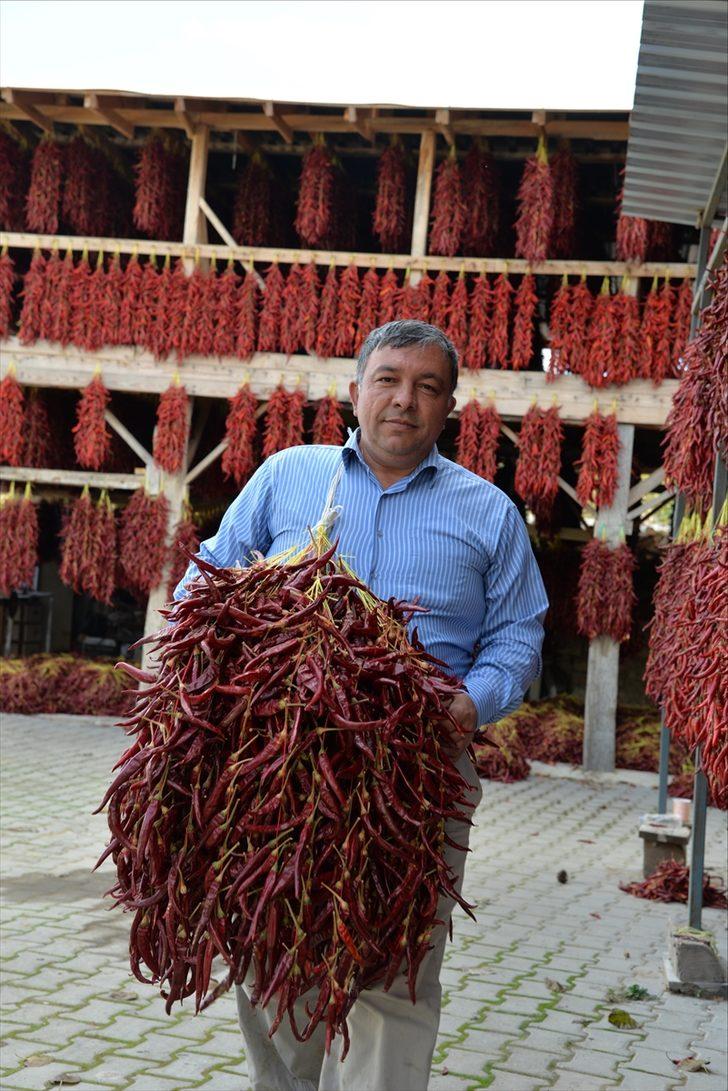 Balkonlarda çatılarda kurutuyorlar 60 kente satıyorlar G4