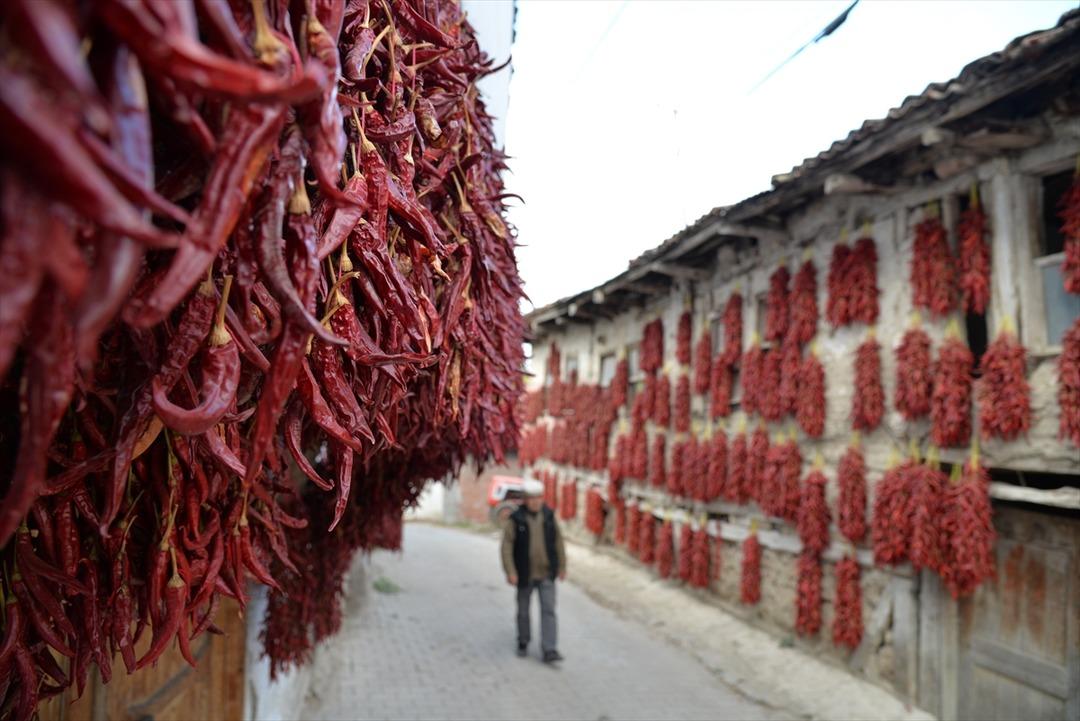 Balkonlarda &ccedil;atılarda kurutuyorlar 60 kente satıyorlar