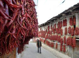 Balkonlarda çatılarda kurutuyorlar 60 kente satıyorlar
