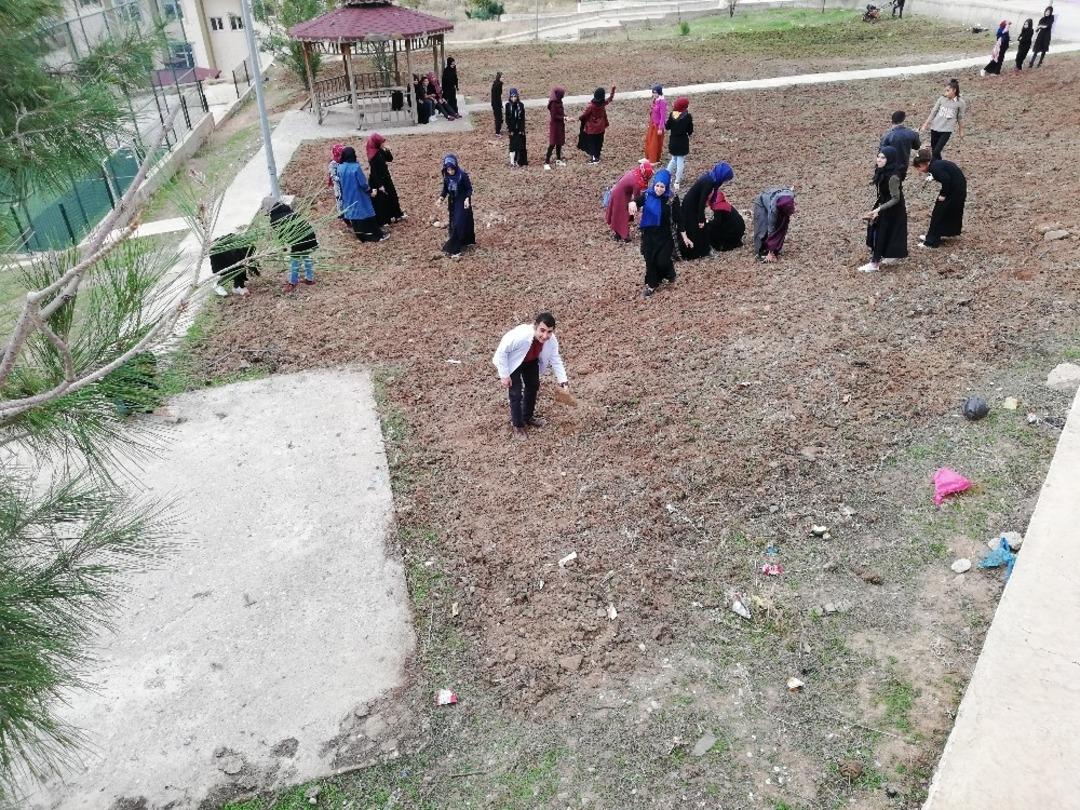 Okul bah&ccedil;esine ekilen buğday, yoksullara aş olacak