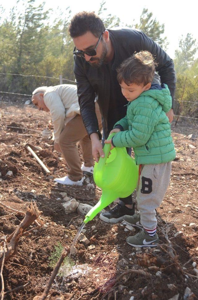 Cerrahtan yeşil hareket