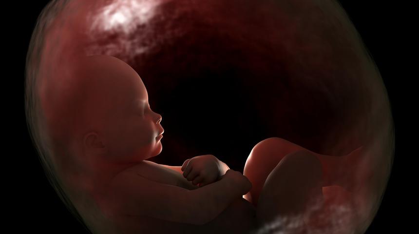 Türk hekiminin araştırması dünya literatürüne girdi! Plasentanın gizemi çözüldü