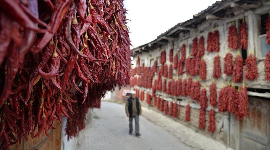 Balkonlarda çatılarda kurutuyorlar 60 kente satıyorlar