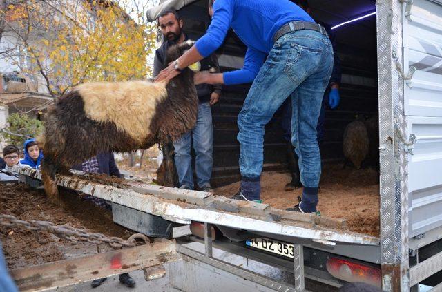 Darende’de genç çiftçilere destekler sürüyor