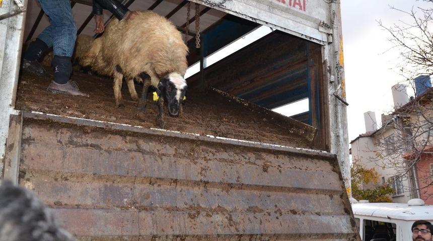 Darende&rsquo;de gen&ccedil; &ccedil;ift&ccedil;ilere destekler s&uuml;r&uuml;yor