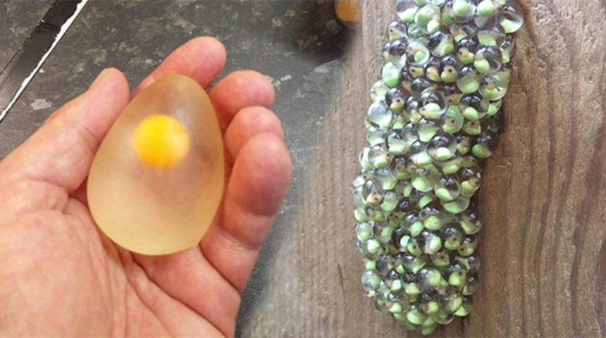 Dünyayı farklı görmenizi sağlayacak 10 fotoğraf