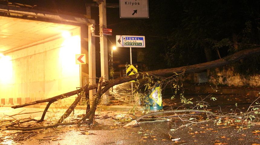 Sarıyer'de ağaç yola devrildi! Ulaşım 2 saat yapılamadı