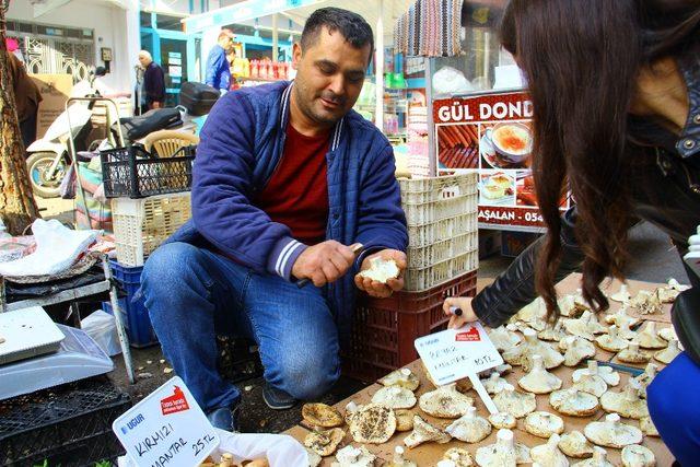 Aydın’da yağış olmayınca mantarın fiyatı tavan yaptı