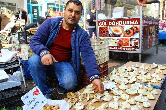 Aydın’da yağış olmayınca mantarın fiyatı tavan yaptı