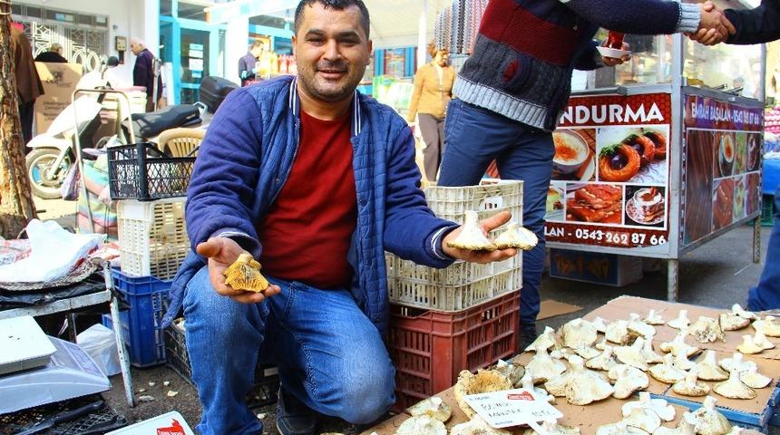 Aydın&rsquo;da yağış olmayınca mantarın fiyatı tavan yaptı