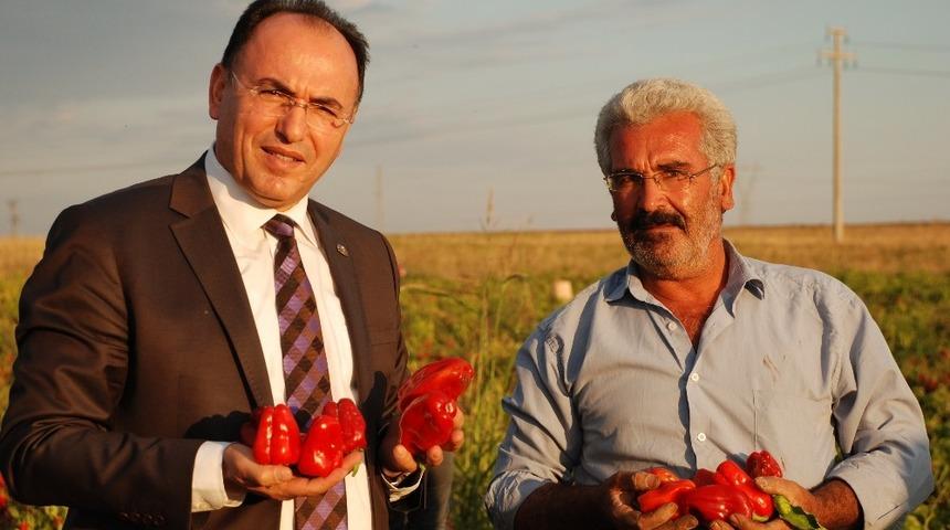 Adıyaman biberinde son hasat