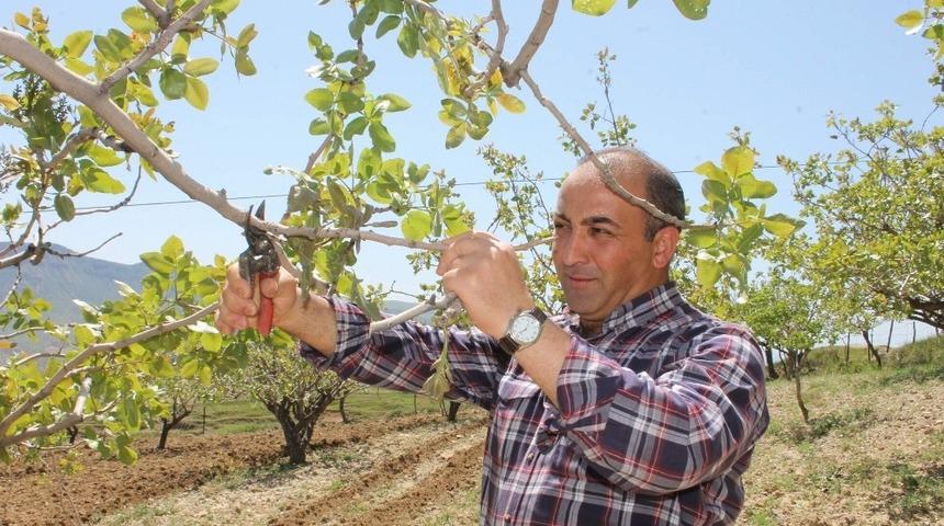 Siirtli &ccedil;ift&ccedil;ilere budama ve g&uuml;breleme eğitimi verilecek
