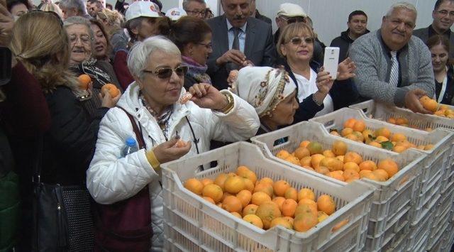 Seferihisar’daki Tarım Şenliği başladı