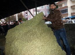 Yaş fiyatı 20 lira olan bamya markette 175 lira