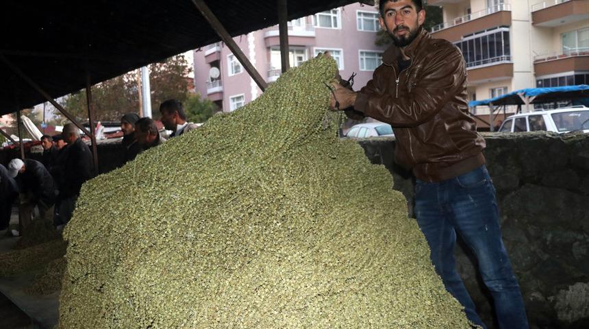 Yaş fiyatı 20 lira olan bamya markette 175 lira