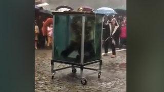 Su dolu kafesten çıkmaya çalışan illüzyonist boğulma tehlikesi atlattı