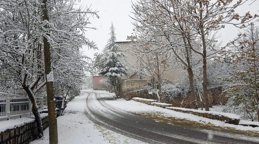 Develi beyaza b&uuml;r&uuml;nd&uuml;