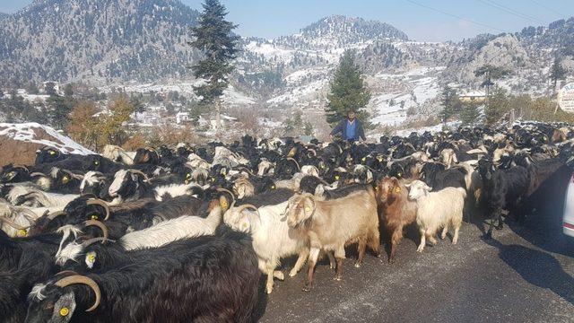 Yaylada mahsur kalan vatandaşlar kurtarıldı