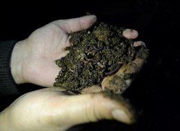 'Solucan gübresi' ev hanımının iş kapısı oldu