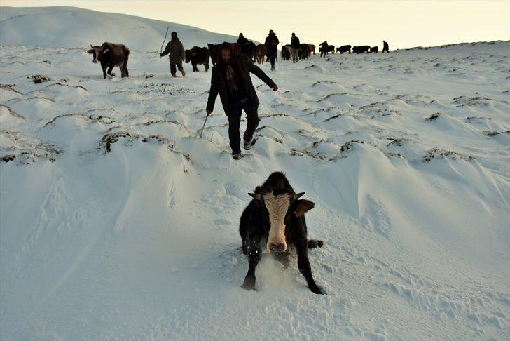 Muş'ta donmak üzere olan üç kişi kurtarıldı G1